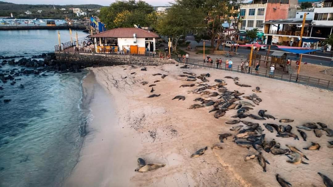 Royal Galapagos Inn Пуерто Бакерисо Морено Екстериор снимка